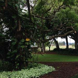 Four Seasons Lanai: The Lodge at Koele