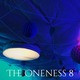 The Oneness 8のサムネイル