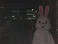 WHITE ROUNGE RABBIT BAR