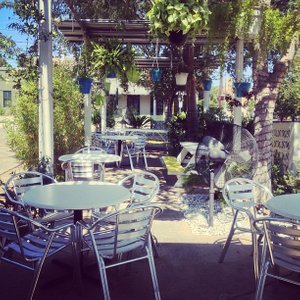 Zocalo Cafe