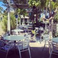 Zocalo Cafe