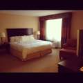 Warwick Hotel