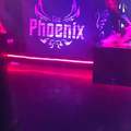 The Phoenix Bar