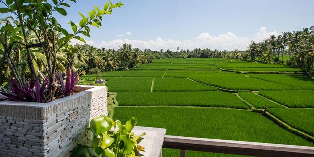 LUXE Villas Bali