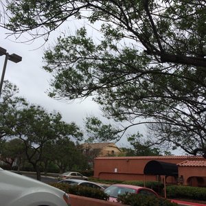 Embassy Suites Hotel - Austin Central