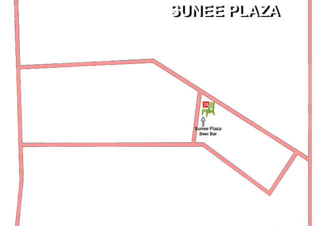 Sunee Plaza Bar