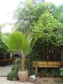 Ruan Thai Guesthouse