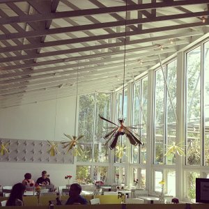 Zocalo Cafe